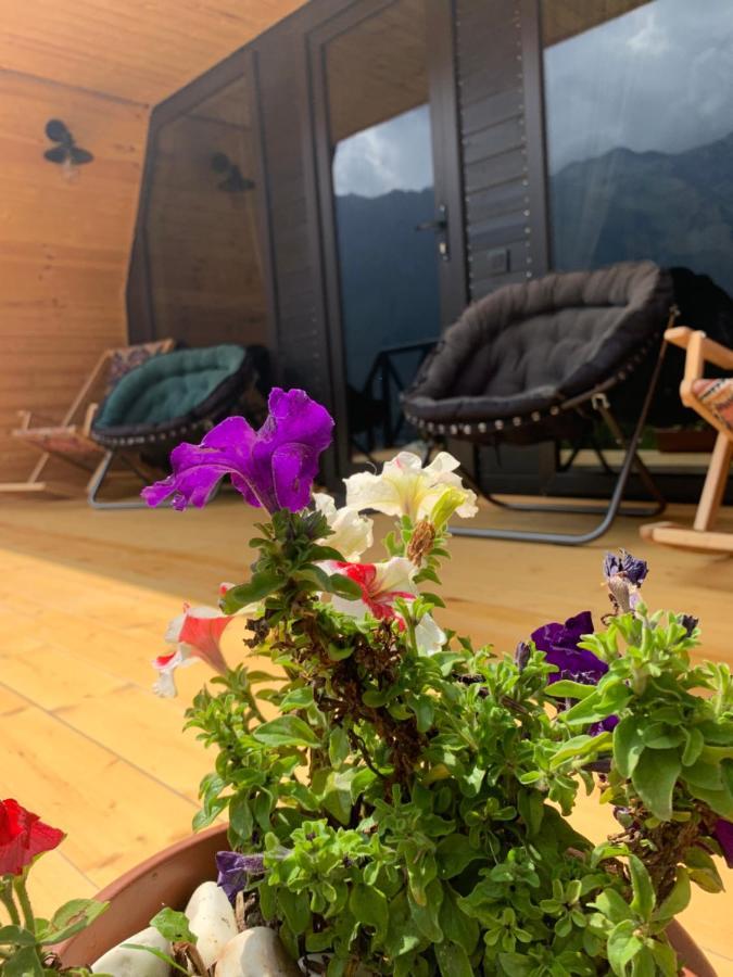 View Villa Kazbegi Ngoại thất bức ảnh